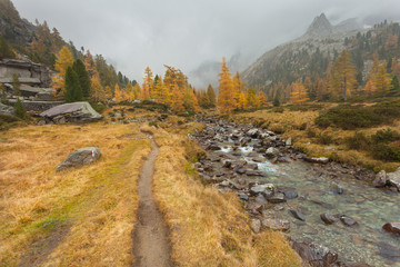 Fototapeta na wymiar walking at fall in a cloudy day next to a mountain stream