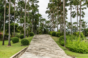 Concrete Pathway in park