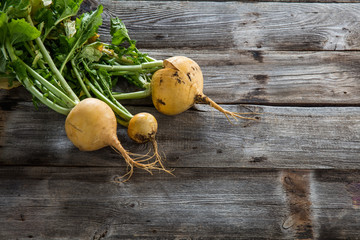 natural organic farming and vegetarian food with sustainable vegetables
