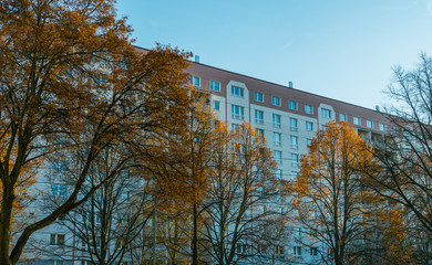 Fototapeta na wymiar plattenbau building in autumn with trees