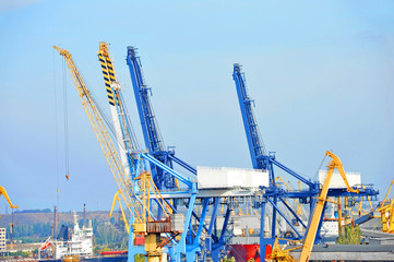 Port cargo crane