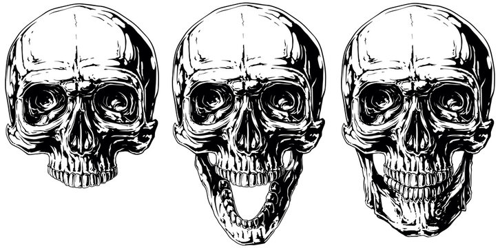 Set of graphic black and white human skull tattoo
