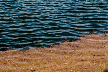 Garbage waste floating on dirty polluted lake or river surface