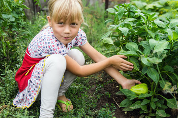 Little girl in the garden beside the beds with peppers