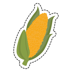 fresh vegetable flat isolated icon vector illustration design