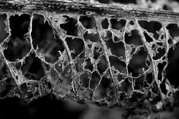 Herbst rund um uns herum. Goldene Zeiten