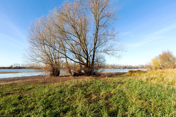 Waterside of River Rhine nearby Duesseldorf/ Germany