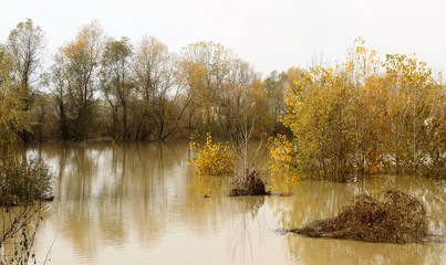 I colori dell'autunno lungo il fiume Po