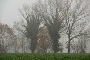 I colori dell'autunno in Norditalia