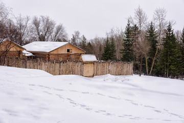 wooden house in winter forest