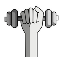 weight lifting gym isolated icon vector illustration design