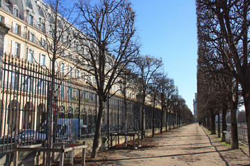 All&eacute;es du Jardin des Tuileries en hiver &agrave; Paris, France