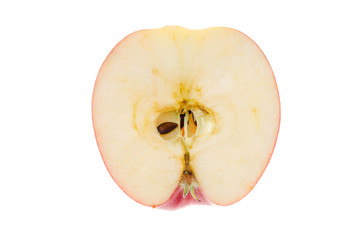 apple in section on a white background