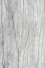texture old wood , wood background style vintage , wood pattern