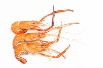 Grilled giant freshwater prawn isolated on white
