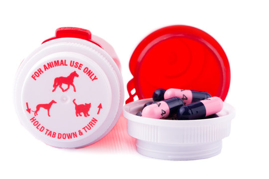 Animal medication with bottles, on white background