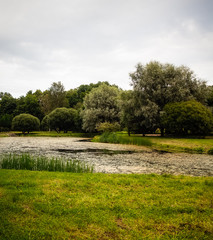 Fototapeta na wymiar The lake in the Park