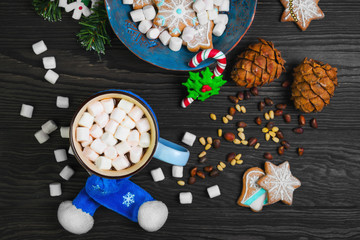 Obraz na płótnie Canvas Christmas homemade gingerbread cookies and hot chocolate with ma