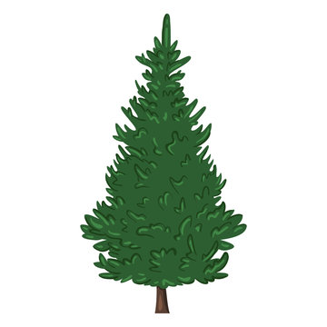 Vector Single Cartoon Pine Tree on White Background