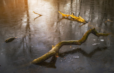 gefrorenes Wasser am See im Winter