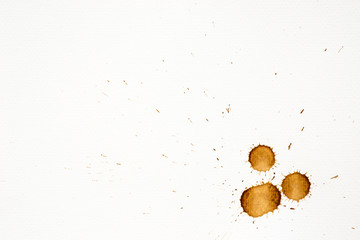 Coffee stain on white background.
