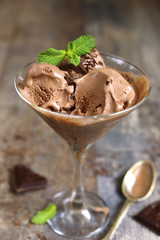 Homemade chocolate ice cream with chocolate chips.