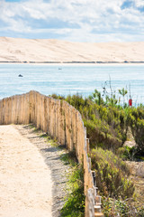 Fototapeta na wymiar Wooden fence on Atlantic beach in France