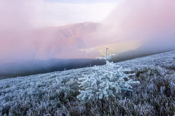 Foto op Plexiglas landscape © Ivan Kmit
