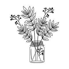 Leaves inside mason jar icon. Decoration floral nature and plant theme. Isolated design. Vector illustration