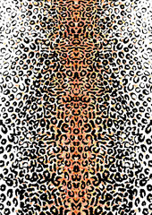 Leopard skin - 128775967