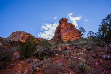 Grand Canyon View looking up closer