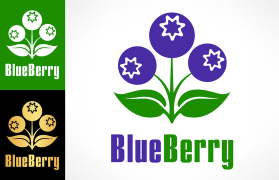 Bilberry logo. Blackberry illustration. Blueberry vector.