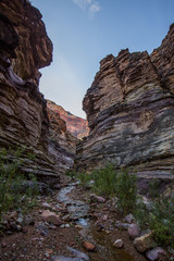 Grand Canyon rock tunnel view with stream vertical