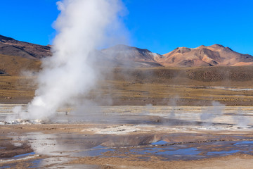 Geysers of the Tatio at sunrise. Atacama. Chile