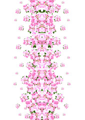 Floral border,centered