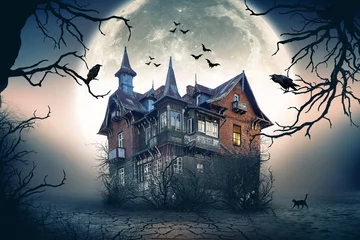 Tuinposter Haunted Spooky House © twindesigner