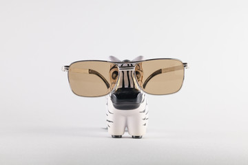 Kleines Zebra mit großer Vision