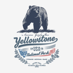 Медведь Гризли, Национальный парк Уеллоустоун, иллюстрация, вектор, на деревянном фоне