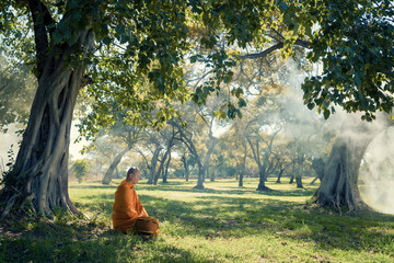 Asian monk walk under a tree,monk meditating in area around wild