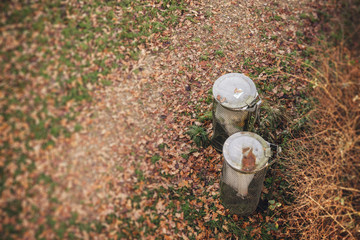 Two garbage cans in a park