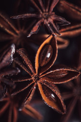 Closeup of anise star on dark background