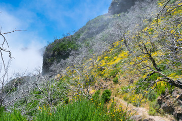Hiking Pico do Arierio, Pico Ruivo, Madeira, Portugal