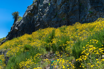 Hiking Pico do Arierio, Pico Ruivo, Madeira, Portugal