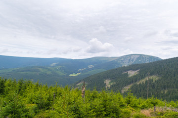 Fototapeta na wymiar Sniezka, Krkonose National Park, North Bohemia, Central Europe, Czech Republic