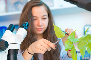 girl in biological class take experiment with green plant