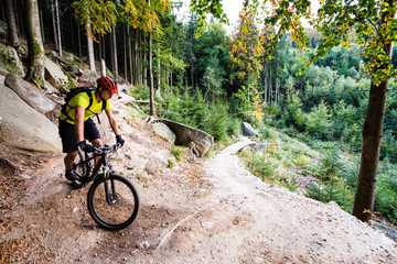 Naklejka premium Mountain biker riding cycling in autumn forest