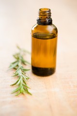 Close-up of aromatherapy oil bottle by rosemary