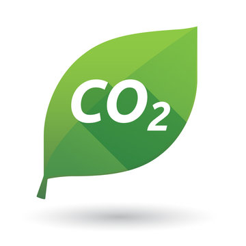 Isolated leaf icon with    the text CO2