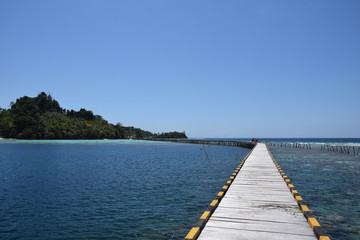 Fototapeta premium Der Weg ist das Ziel