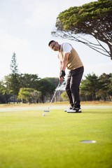 Sportsman playing golf